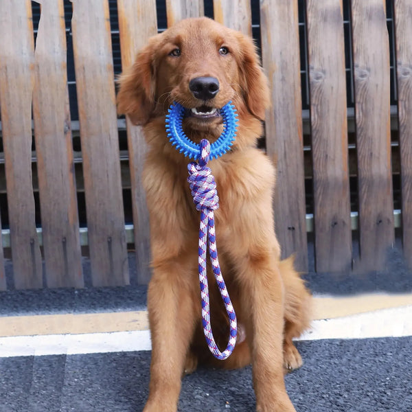 Interactive Chew Toy for Dogs
