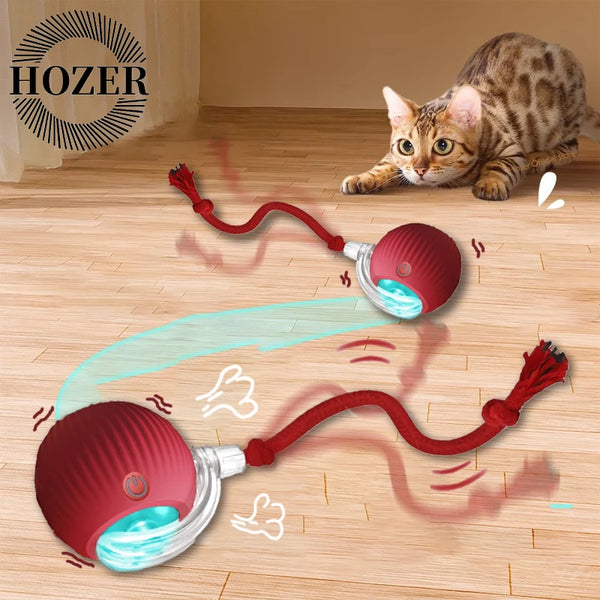 TailChaser Smart Rolling Ball with Faux Tail for Cats