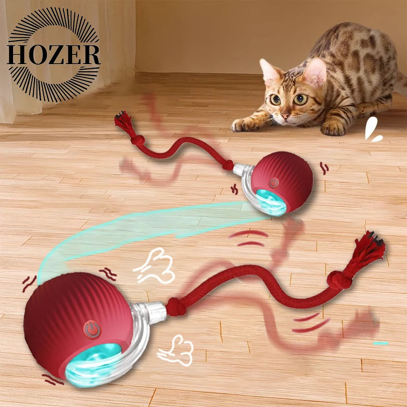 TailChaser Smart Rolling Ball with Faux Tail for Cats