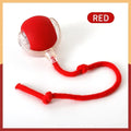 TailChaser Smart Rolling Ball with Faux Tail for Cats